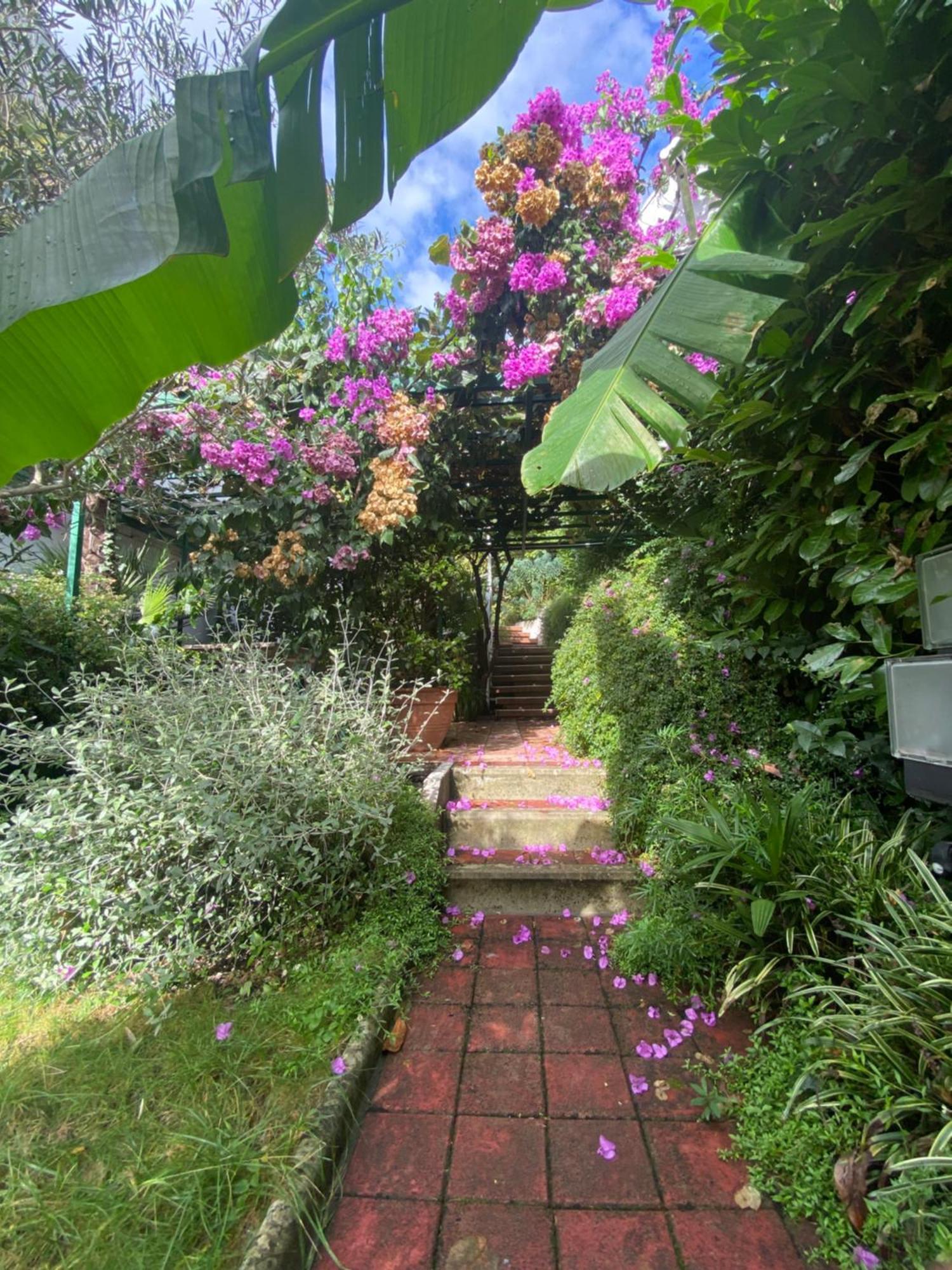 オパティヤSunny Gardenアパートメント エクステリア 写真